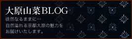 大原山菜ブログ