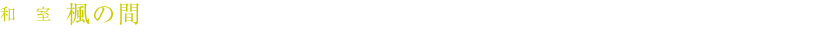 a  ̊ԁiaF10+4^F3^IVCj